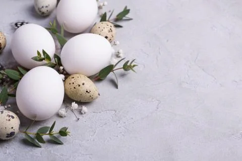 Easter spring decorative composition  with easter quail, chicken eggs Stock Photos