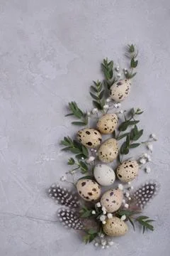 Easter spring decorative composition  with easter quail eggs and leaf sprigs Stock Photos