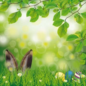 Easter Spring Hare Eggs Beech Twigs Flowers Stock Illustration