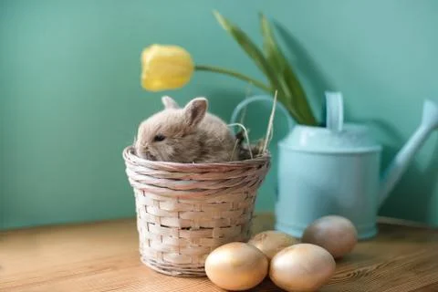 Easter still life with little rabbits in a basket. Stock Photos