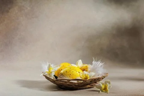 Easter still life with yellow eggs, feathers and spring daffodils with copy Foto stock
