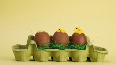 Easter stop motion loading chicken in eggs animation time lapse Stock Footage 300364087