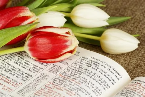 Easter story Stock Photos