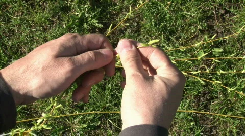 Easter switch I. Stock Footage 683381