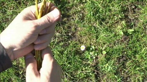 Easter switch II. Stock Footage 684480