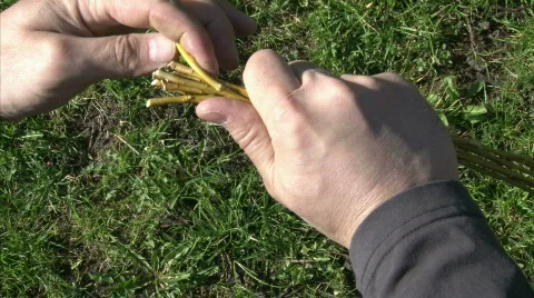 Easter switch IV. Stock Footage 683931