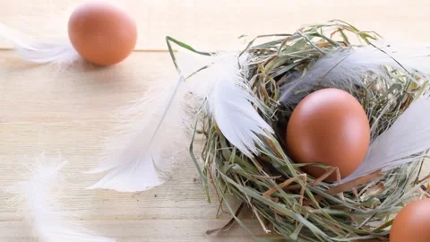 Easter symbol. Natural colour eggs in basket with spring tulips, white feathers Stock Footage 150254663