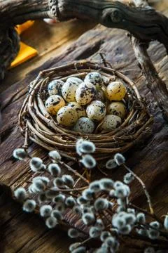 Easter table setting. Fresh eggs on plate. Spring table. Stock Photos