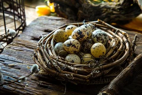 Easter table setting. Fresh eggs on plate. Spring table. Stock Photos