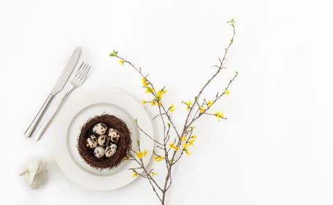 Easter table setting with quail eggs in a nest , a branch of yellow forsythia Stock Photos