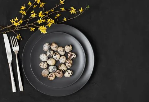 Easter table setting with small quail eggs and yellow forsythia flowers  Stock Photos