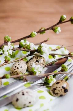 Easter table setting with spring flowers. Stock Photos