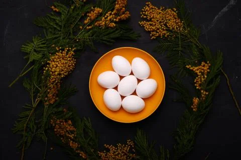 Easter table setting with white eggs with mimosa flower selective focus image Stock Photos