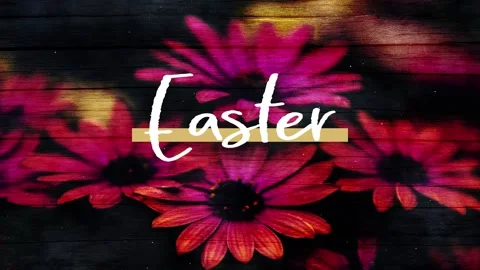 Easter Text Over Flowers Graphics Background Stock Footage 148247854