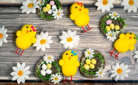 Easter theme, Easter chicks with nests filled with Easter eggs. Stock Photos