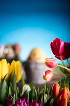 Easter theme. Stock Photos