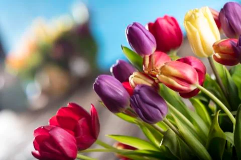 Easter theme. Stock Photos