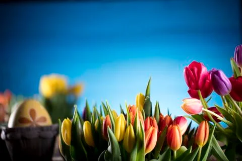 Easter theme. Stock Photos