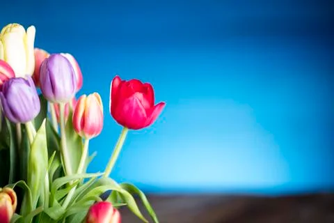 Easter theme. Stock Photos