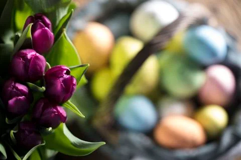 Easter theme. Stock Photos