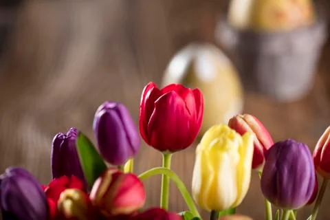 Easter theme. Stock Photos