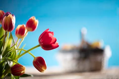 Easter theme. Stock Photos