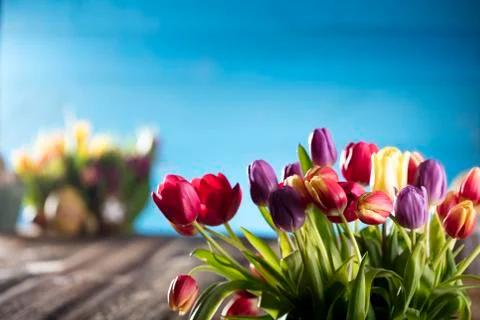 Easter theme. Stock Photos