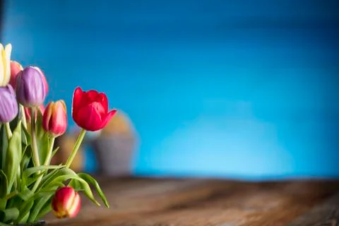 Easter theme. Stock Photos