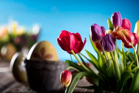 Easter theme. Stock Photos