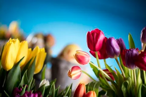 Easter theme. Stock Photos