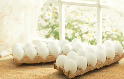 Easter theme: white eggs in an egg crate on the window in a sunny day 스톡 사진
