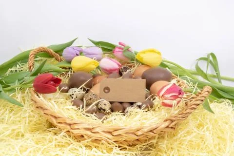 Easter themes and arrival of spring. Basket with eggs and surrounded by tulips Stock Photos