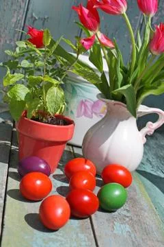 Easter time painted eggs Stock Photos