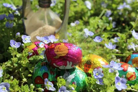 Easter time. Spring time in bloom. Stock Photos