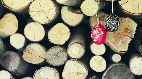 Easter traditional egg hanging on bough with spring cherry blossom Video stock 47062665