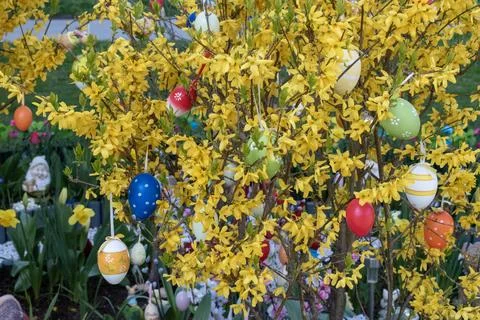 Easter tree decorated with colorful easter eggs. austria, europe Stock Photos