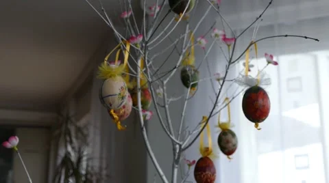 Easter Tree Decorated With Eggs Stock Footage 49043507