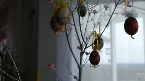 Easter Tree Decorated 動画素材 49043840