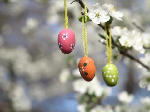 Easter Tree egg Stock Photos