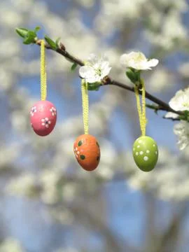 Easter Tree egg Stock Photos