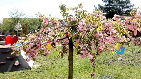 Easter Tree In the Garden - Modern Public Building Kindergarten - Preschool Video stock 106811237