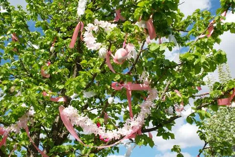 Easter Tree with Hanging Eggs, Pink Ribbons and Spring Blossoms Decoration Stock Photos