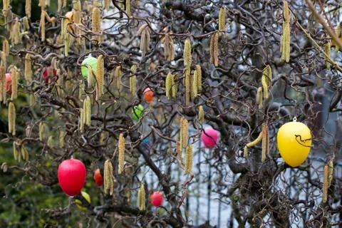 Easter tree Stock Photos