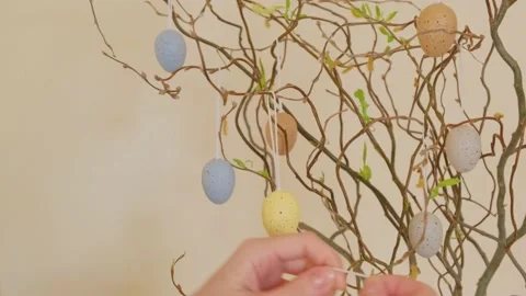 Easter tree on yellow background Stock Footage 149113580