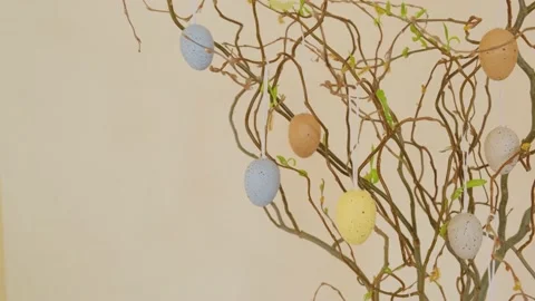 Easter tree on yellow background Stock Footage 149113582