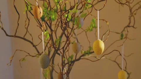 Easter tree on yellow background Stock Footage 150664339