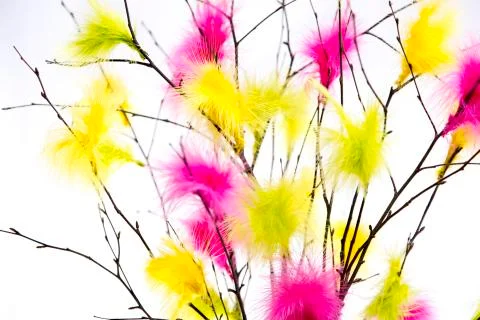 Easter Twigs with Coloured Feathers Stock Photos