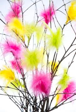 Easter Twigs with Coloured Feathers Foto stock