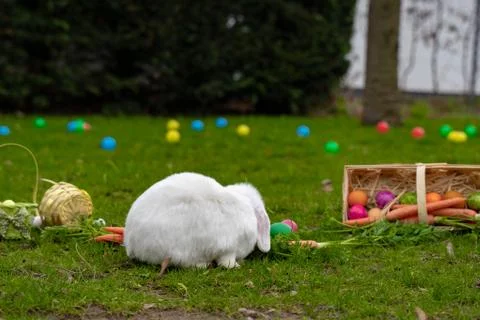 Easter white bunny on the grass with Easter basket Stock Photos
