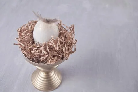 Easter white egg on a gray background with feathers Photos